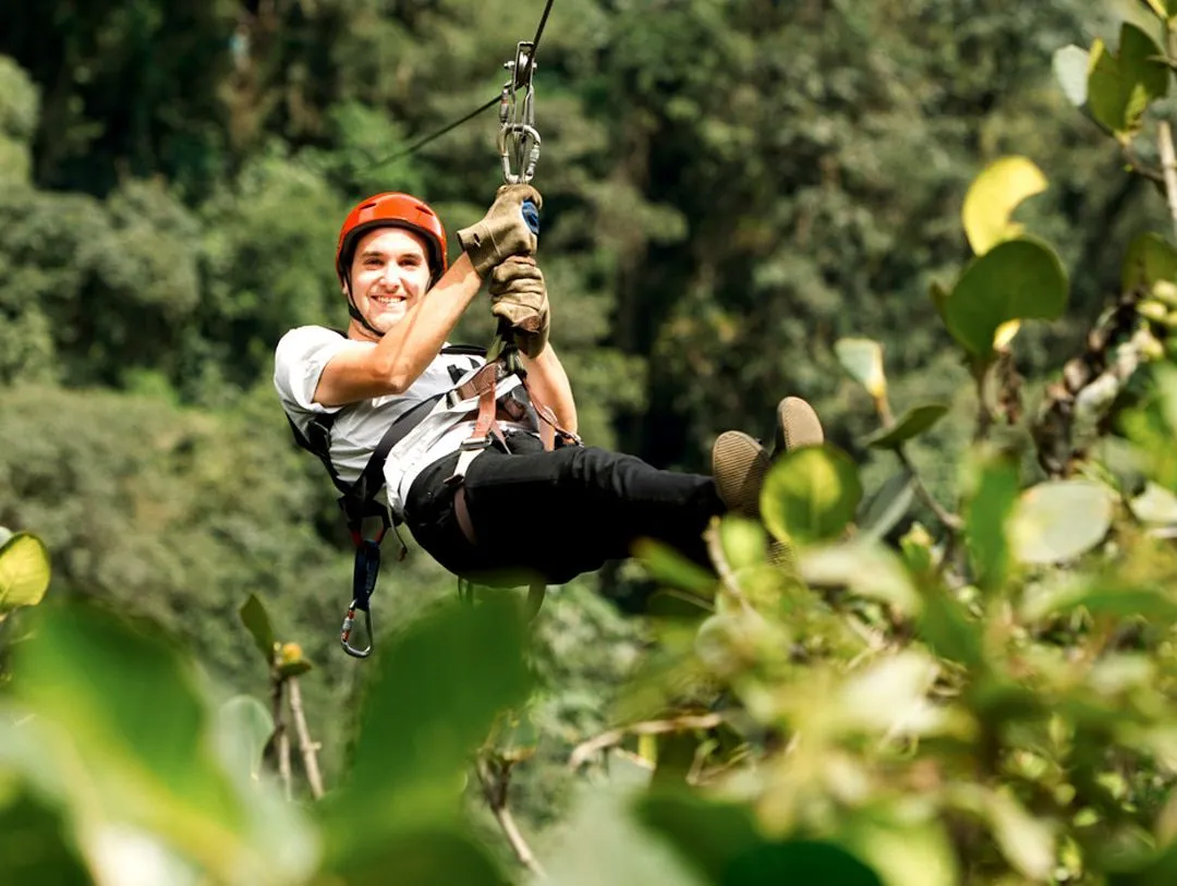 Underground sea 、Tropical、Bayou Zipline at Botanical World Adventures | Botanical World